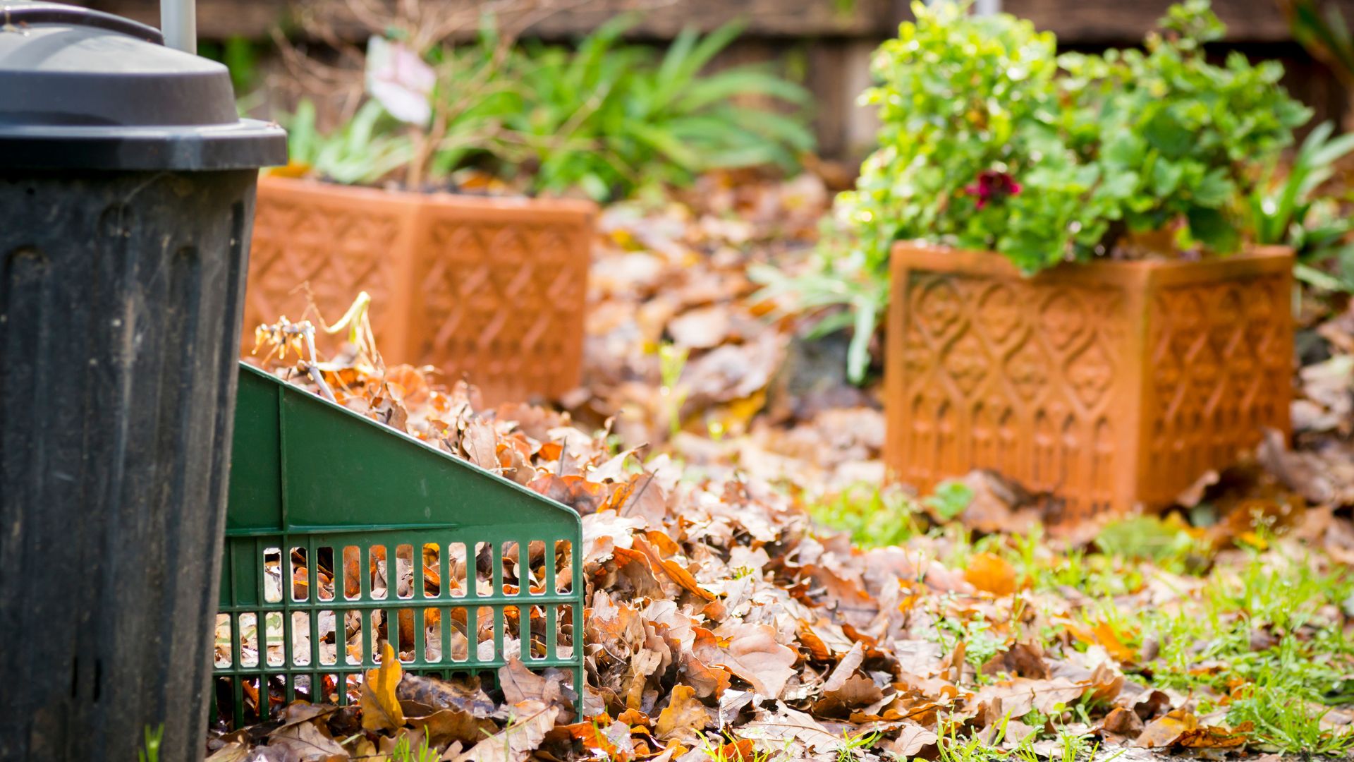 A pile of leaves next to a trash can